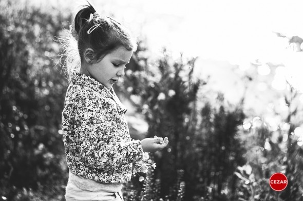 Fotograf profesionist mures sedinta foto de familie fotografie creativa artistica copii