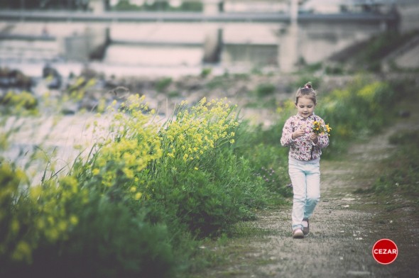 Fotograf profesionist mures sedinta foto de familie fotografie creativa artistica copii